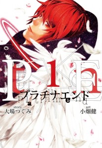 platinum end